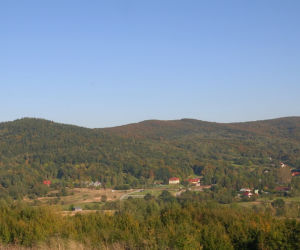 Wapienne