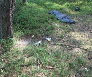Tragedia podczas wycinki drzew. Olbrzymi konar zmiażdżył Pawła w lesie