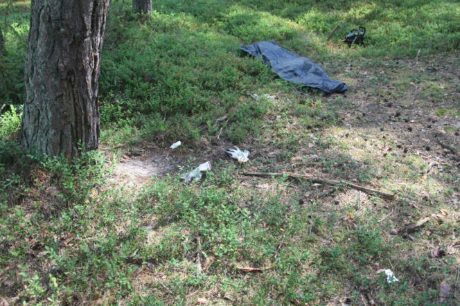 Tragedia podczas wycinki drzew. Olbrzymi konar zmiażdżył Pawła w lesie