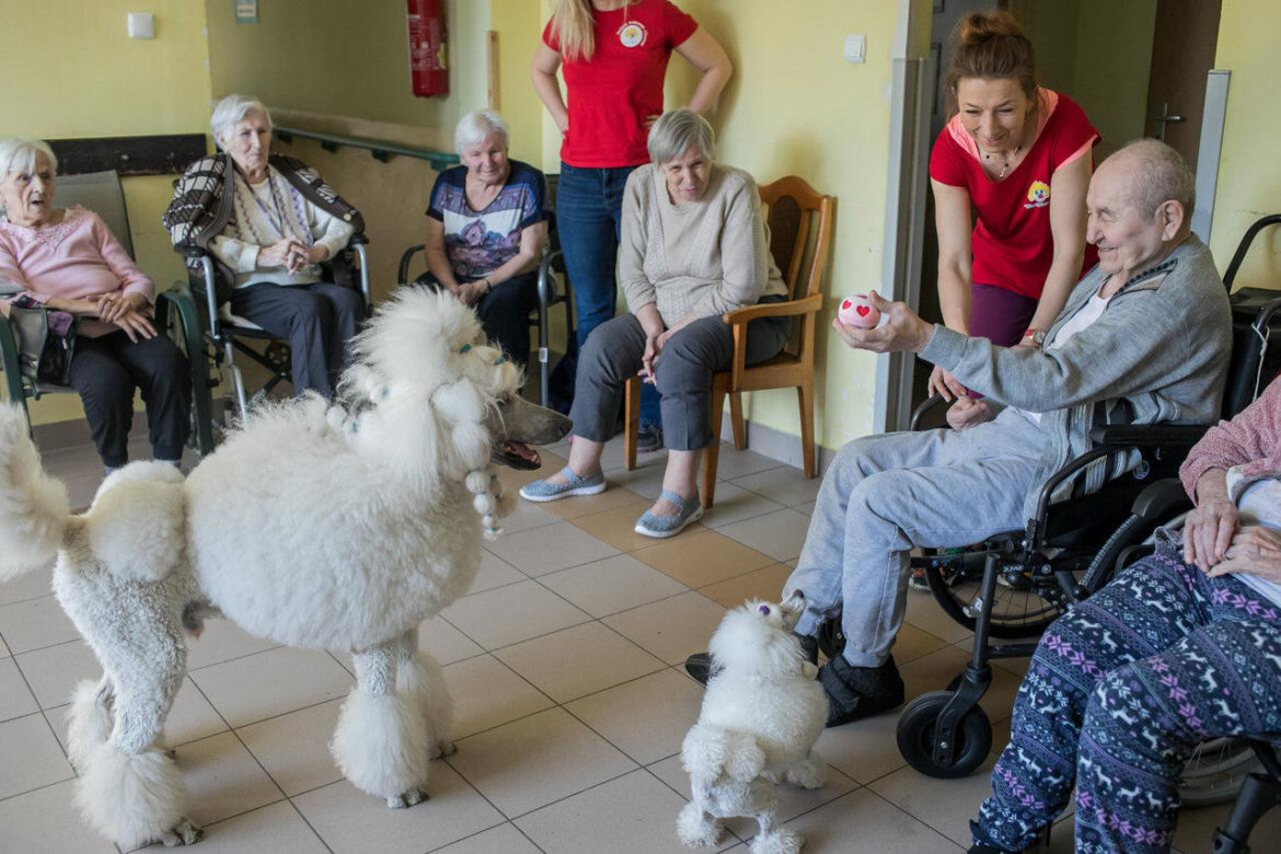 Dogoterapia