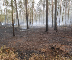 Pożar pod legionowej, czarna struga