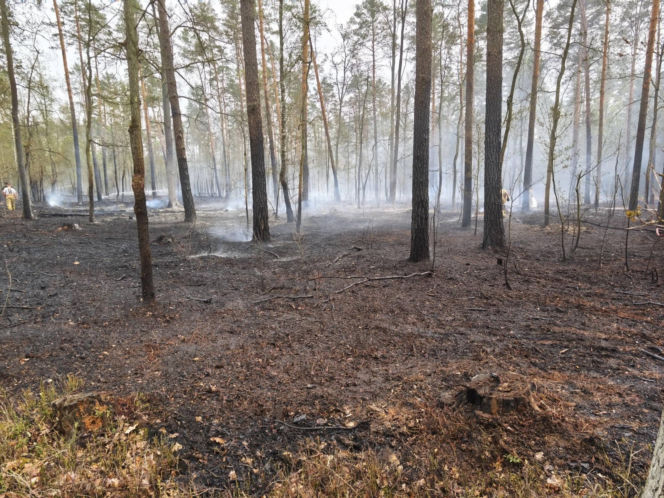Pożar pod legionowej, czarna struga