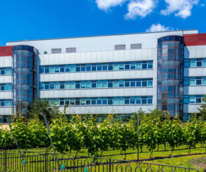 Kampus SGGW w Warszawie