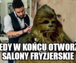 Fryzjerzy kontra koronawirus. Te memy bawią do łez