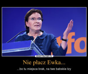 Wybory Samorządowe 2014. Zobacz najlepsze MEMY. Internauci wyśmiewają PKW