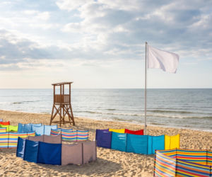 Sinice Stegna. Czy w Stegnie można się kąpać 10.08? Flaga, warunki pogodowe
