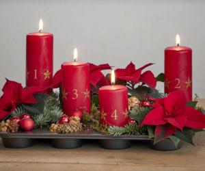 Mini gwiazda betlejemska