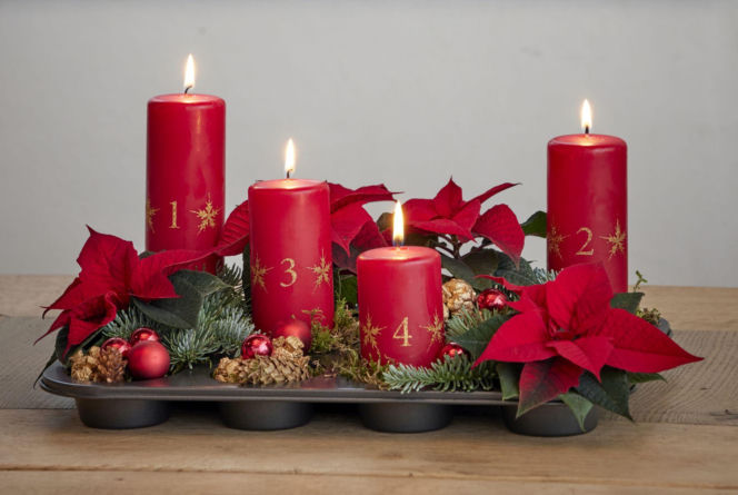 Mini gwiazda betlejemska