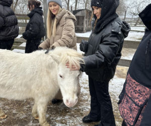 Joanna Krupa odwiedza schronisko dla zwierząt
