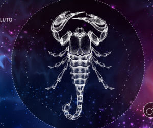 Znaki zodiaku