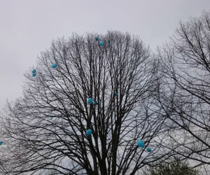 Sosnowiec: Niebieski piknik w Parku Polisensorycznym