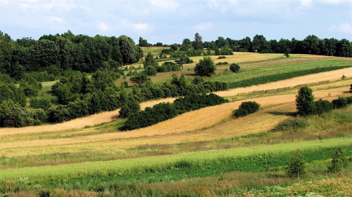 6. Wierzchowiny