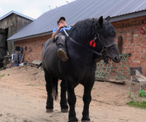 Rolnicy. Podlasie. Gospodarstwo Jarka i Agnieszki z Bronowa