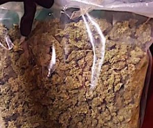 SKOK STULECIA w Tuchomiu: Rozpruli sejf i ukradli MILIONY W GOTÓWCE