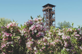 Budowa wieży pod Poznaniem. Inwestycja za 3,3 mln zł odtworzy dawną atrakcję