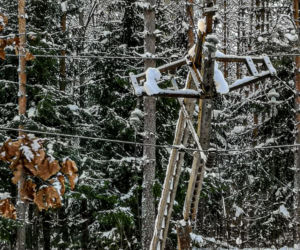 Atak zimy w Elblągu