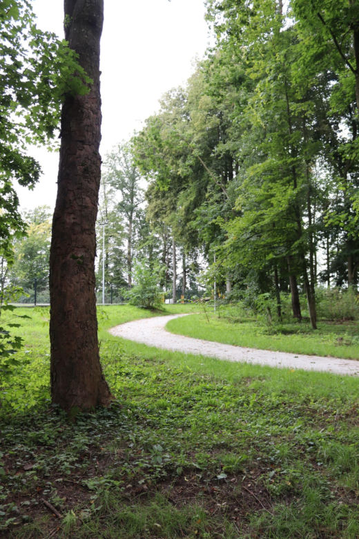 Zabytkowy park pod Lubawą zmienił się nie do poznania. Teraz wygląda jak z bajki
