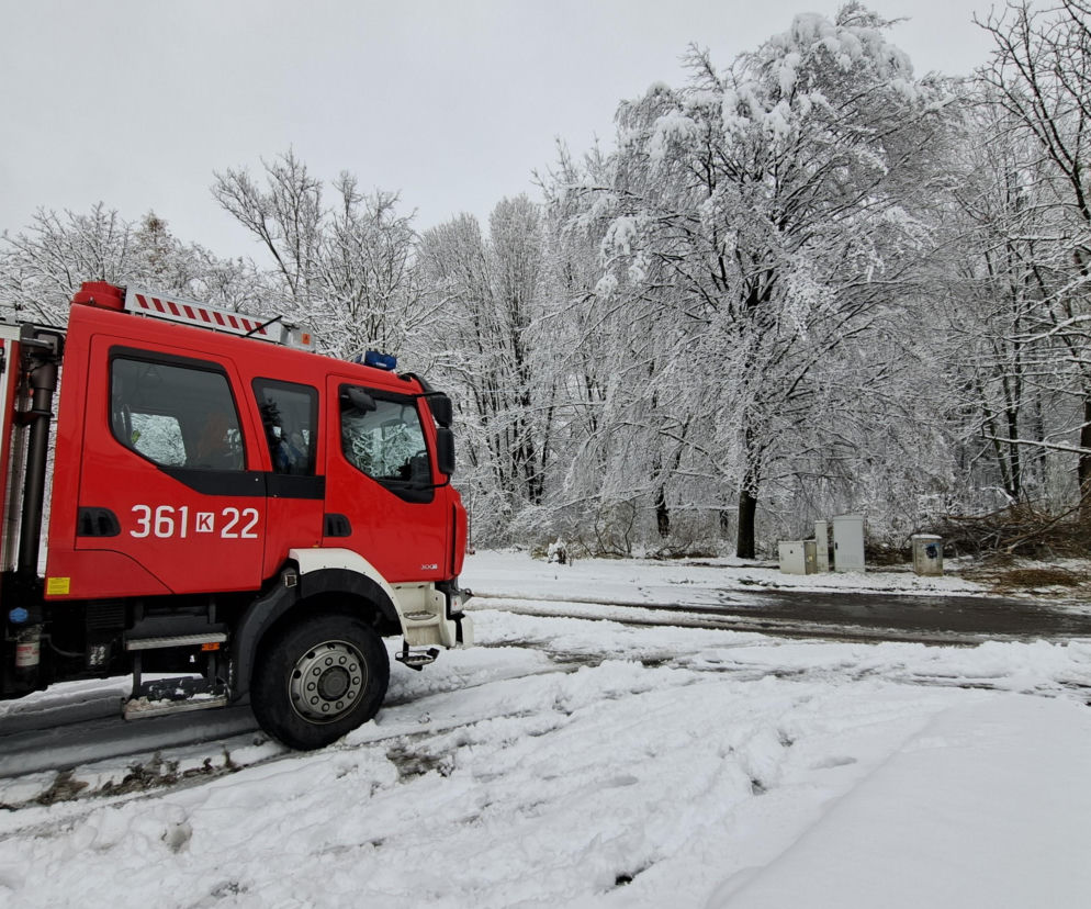 Śnieżyca w regionie tarnowskim: Setki interwencji straży, braki prądu w powiecie  