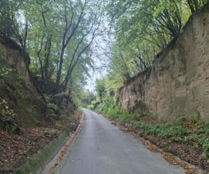 Udziców Świętokrzyskie. Wąwóz