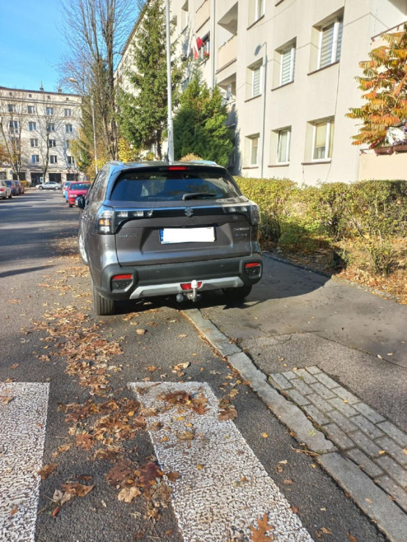 Tak parkują "miszczowie parkowania" z Katowic. Strażnicy miejscy rozkładają ręce 