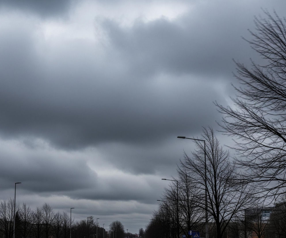 Górna część obrazu wypełniona jest ciężkimi, szarymi chmurami, dominującymi niebo. Na pierwszym planie, po prawej stronie, widać rozłożyste, bezlistne drzewo o ciemnych, wijących się gałęziach. Wzdłuż dołu obrazu, rozciągając się w głąb perspektywy, widoczne są szeregi podobnych, nagich drzew, przerywane pojedynczymi, ciemnymi latarniami ulicznymi o podłużnych kształtach. Horyzont zarysowują niewyraźne, ciemne kształty budynków.