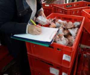Spleśniała kielbasa i przeterminowane produkty mięsne: Wielka kontrola na bazarze Olimpia! 