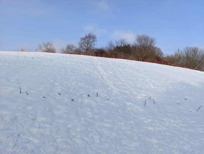 Górka Szczęśliwicka 16 stycznia 2026 roku