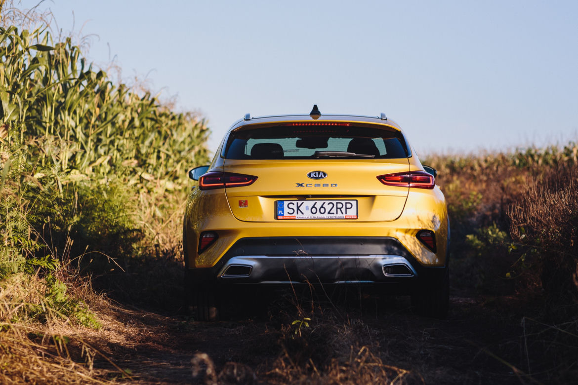 Kia XCeed 1.6 T-GDI 204 KM 7DCT XL