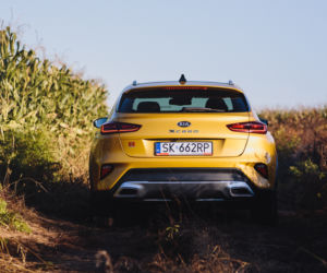 Kia XCeed 1.6 T-GDI 204 KM 7DCT XL