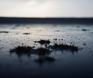 Wołyń: Polska ma zgodę na poszukiwanie szczątków. Czy to koniec gehenny rodzin?