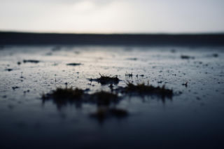 Wołyń: Polska ma zgodę na poszukiwanie szczątków. Czy to koniec gehenny rodzin?