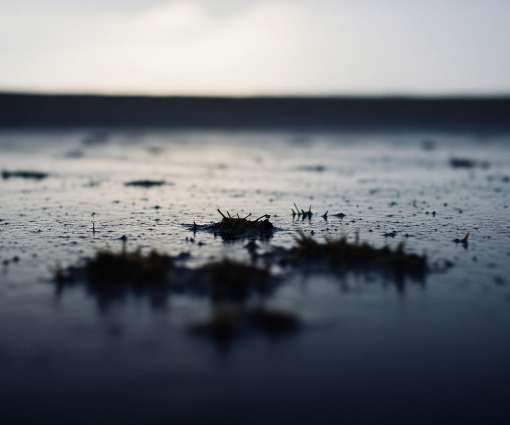 Centralny punkt kadru to piaszczysta łacha, częściowo pokryta jasnymi, suchymi trawami, pływająca na powierzchni ciemnej wody. Woda jest nierówna, tworząc drobne fale i odbicia, a na jej powierzchni rozsiane są liczne, drobne, czarne punkty, będące prawdopodobnie drobnymi kamykami lub resztkami roślinności. Horyzont jest rozmazany, tworząc jasną linię między ciemniejszą wodą a jaśniejszym, rozmytym niebem.