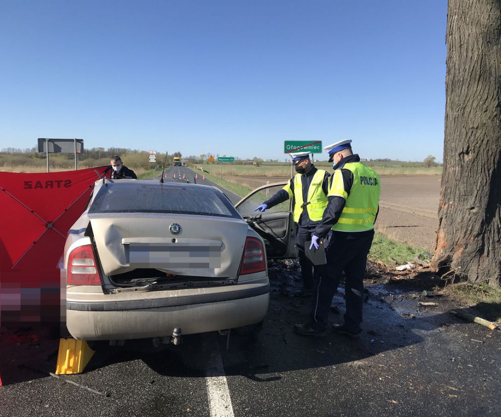 Skoda Octavia uderzyła w drzewo na prostej drodze