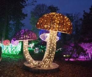 Park Iluminacji w Poznaniu
