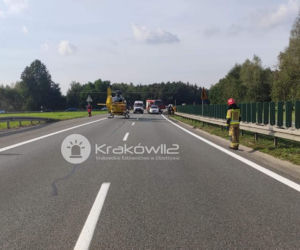 Horror na A4. Kobieta wyskoczyła z płonącego busa