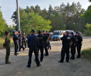 W Puszczy Noteckiej trwa obława
