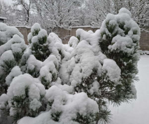 Atak zimy w Świętokrzyskiem. Śnieg i trudne warunki drogowe 23 Listopada 2025