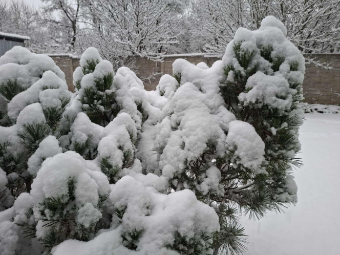 Atak zimy w Świętokrzyskiem. Śnieg i trudne warunki drogowe 23 Listopada 2025