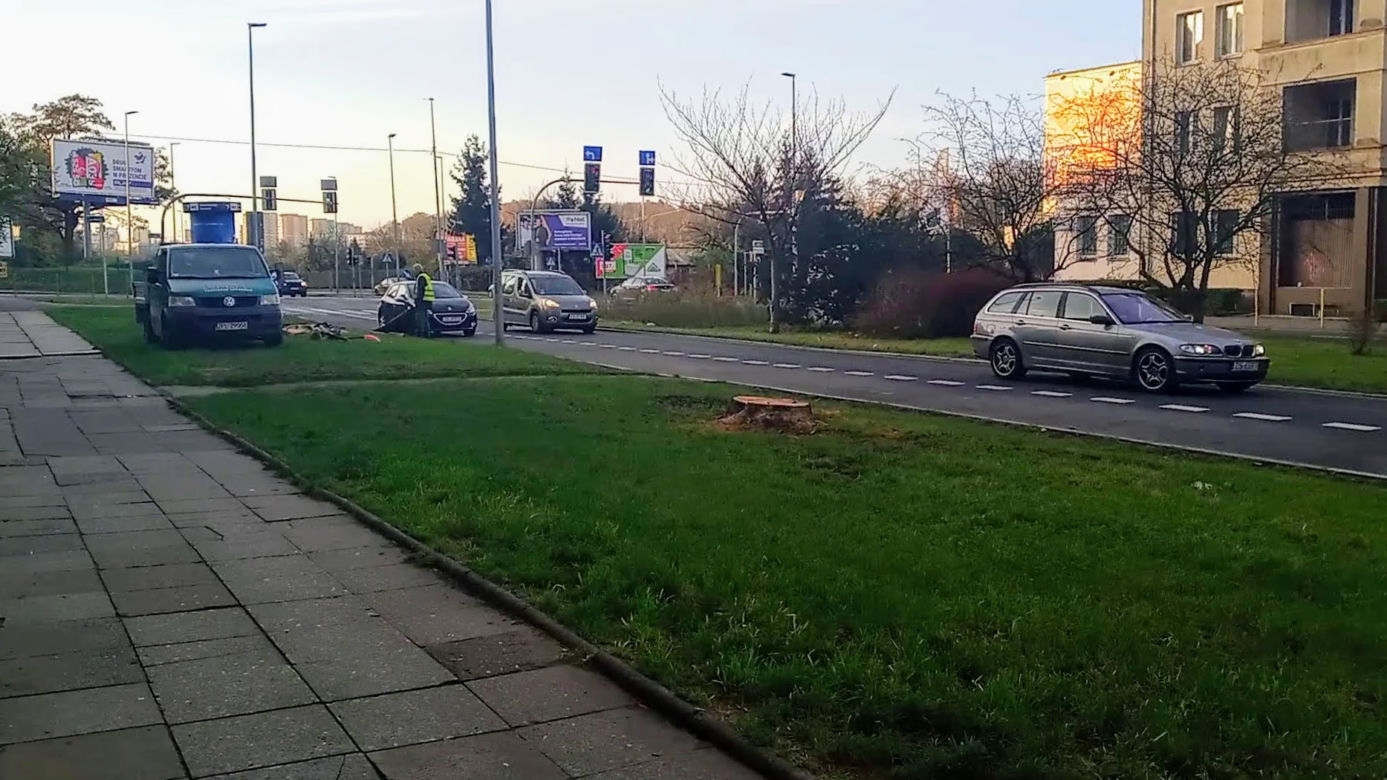 Okazałe drzewa na Turzynie poszły pod topór