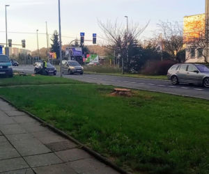 Okazałe drzewa na Turzynie poszły pod topór