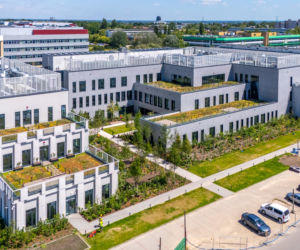 Kampus SGGW w Warszawie