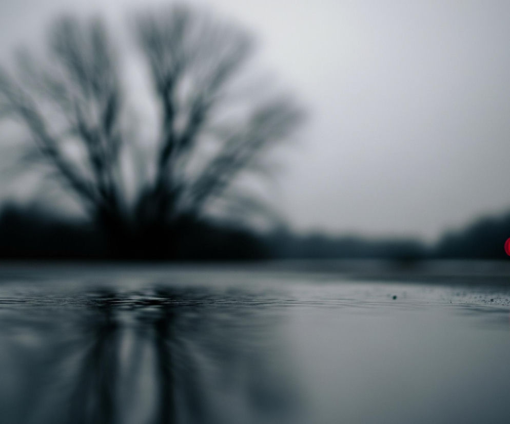 Pierwszy plan przedstawia powierzchnię wody, prawdopodobnie kałużę lub zbiornik, z drobnymi falami i odbiciami światła. W tle widoczny jest rozmyty, bezlistny duży ciemny kształt drzewa, a po prawej stronie, w oddali, jasny czerwony okrąg, który również odbija się delikatnie w wodzie. Cały obraz utrzymany jest w szaro-granatowej tonacji, z dominującym efektem rozmycia poza pierwszym planem.