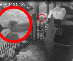 Policja prosi o pomoc w ujęciu podejrzanego