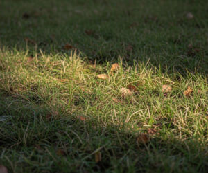 Strzykawki i igły na trawniku. Co znaleziono w Warszawie?