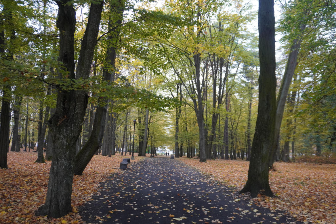 Park Lubomirskich w Białymstoku jesienią 