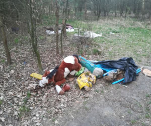 Śmieci w lasach - Siedlce
