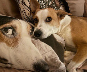 Tak mieszkają Aleksandra Kwaśniewska i Kuba Badach