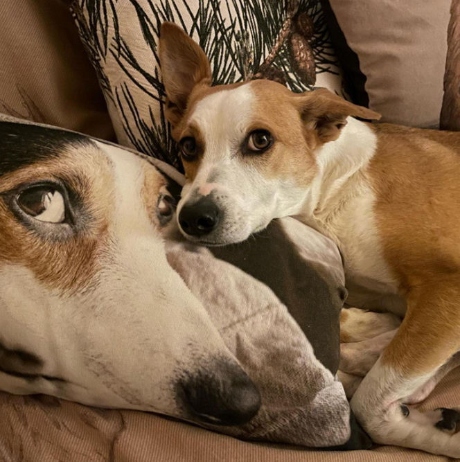 Tak mieszkają Aleksandra Kwaśniewska i Kuba Badach