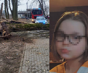 Maję zabiło spróchniałe drzewo w parku