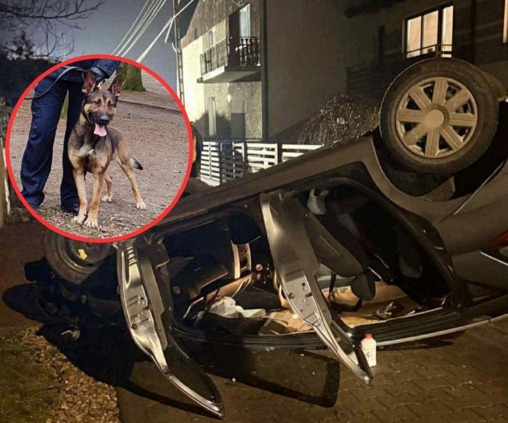 Dachował i uciekł. Nie wiedział, że znajdzie go Wafel